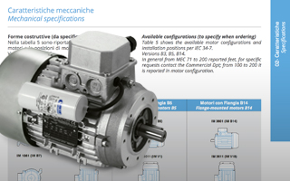 Caratteristiche meccaniche motori elettrici